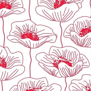 Sketched poppies on white