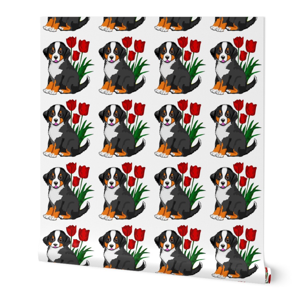 bernese_puppy_with_tulips