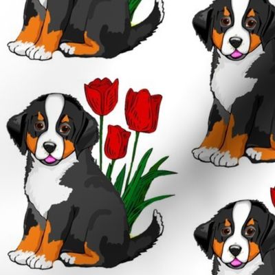 bernese_puppy_with_tulips