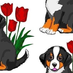bernese_puppy_with_tulips