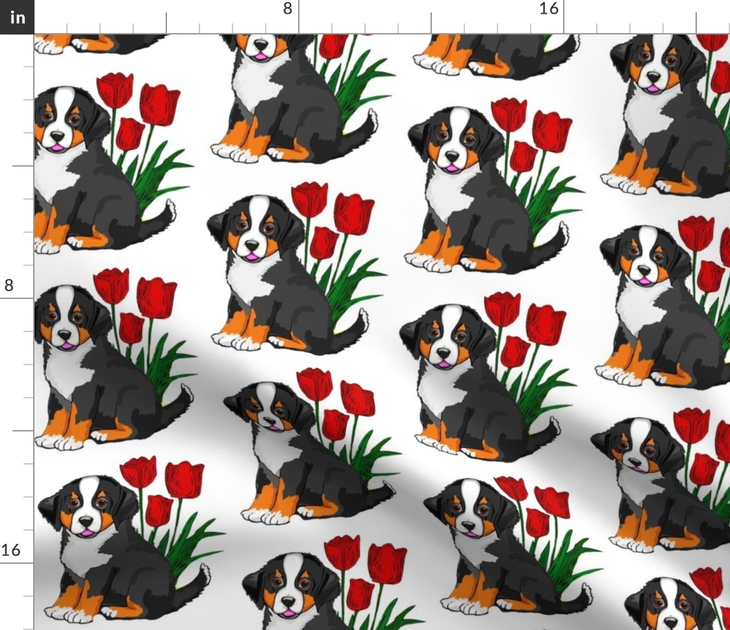 bernese_puppy_with_tulips