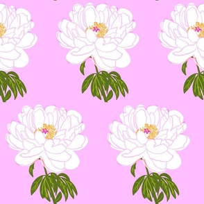 Mini White Peony Flower Scattered Brick Wallpaper Style Design On Deep Bubblegum Pink