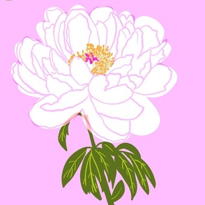 White Peony Flower Scattered Brick Wallpaper Style Design On Deep Bubblegum Pink