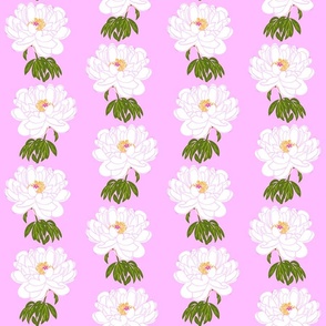 Mini White Peony Flower Vertical Stripe Wallpaper Style Design On Deep Bubblegum Pink