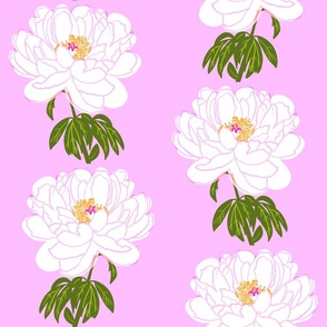 White Peony Flower Vertical Stripe Wallpaper Style Design On Deep Bubblegum Pink