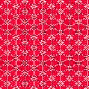 Red and White Star Flowers