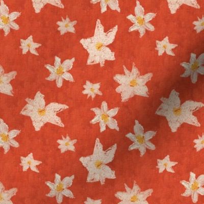 Orange canvas - white starry flowers