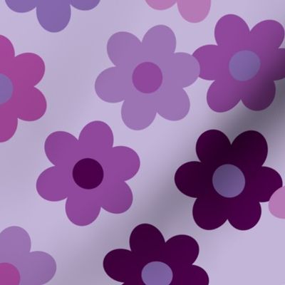 daisy daisy: all happy purples