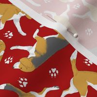 Trotting Beagles and paw prints - red