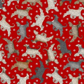 Trotting Afghan Hounds and paw prints - red