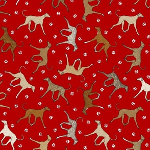 Trotting Azawakh and paw prints - red