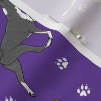 Trotting Basenjis and paw prints - purple