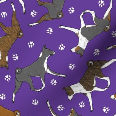 Trotting Basenjis and paw prints - purple