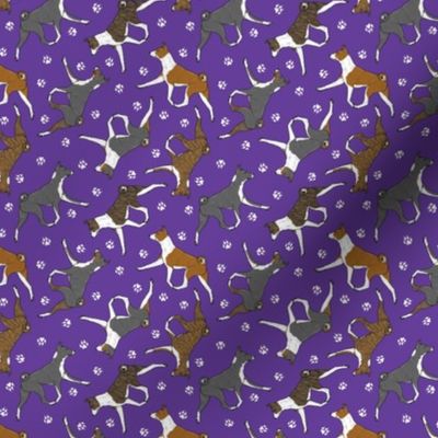 Tiny Trotting Basenjis and paw prints - purple
