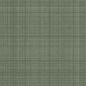 Natural Hemp Checks Grasscloth Texture Benjamin Moore _Nicolson Green Deep Green 787E69 Subtle Modern Abstract Geometric