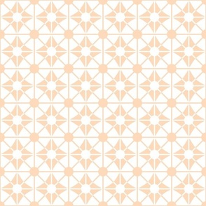 lattice blender quilt coordinate on point peach pastel orange 1 one inch square block radiant lines quilt backing kitchen wallpaper white background