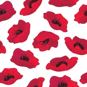 tossed poppies on white