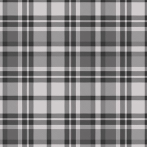 Dark Grey and Light Grey Tartan Plaid with Thin and Large Stripes