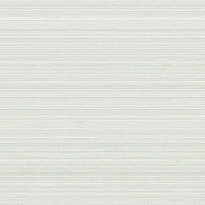 Natural Hemp Horizontal Grasscloth Texture Benjamin Moore _Paper White Off White Blue Gray E0E2DC Fresh Modern Abstract Geometric