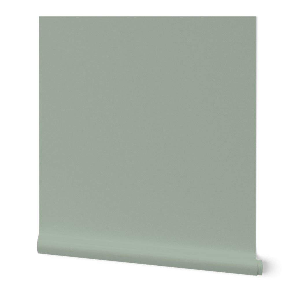 Sage Green | Pale Green|  | Solid colour | Plain colour