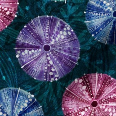 Painted Sea Urchins | Multicolor | Nautical Coastal Ocean