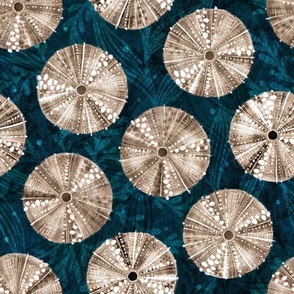 Painted Sea Urchins | Natural | Nautical Coastal Ocean