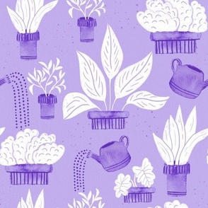 House Plants Gardening | Purple