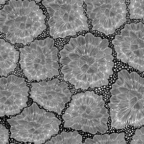 Flores De Hielo - Abstract Ice Flowers, Black, White, Medium Scale