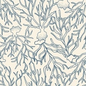 Coastal Chic Coral - Cream/Admiral Blue - 12 inch