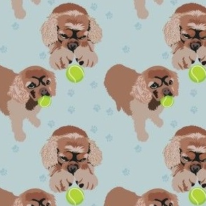 Spaniel dog and tennis ball 