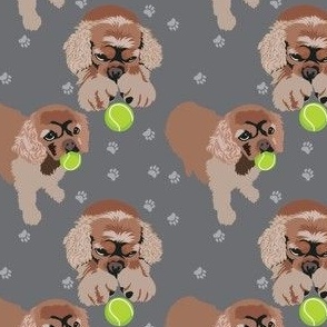 Spaniel dog and tennis ball gray background