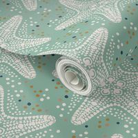 Starfish chic / Medium scale / light teal