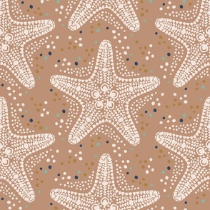 Starfish chic / Medium scale / Terracotta