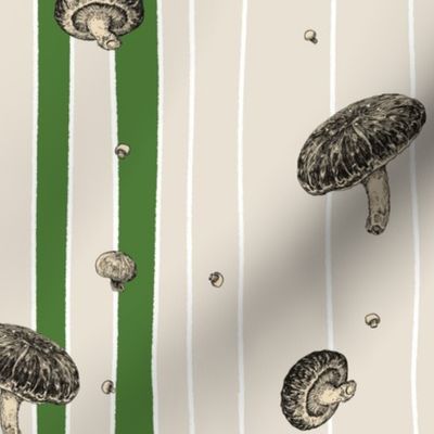 Shitake Mushroom Stripes-Green