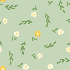 SIMPLE WHITE AND YELLOW DAISIES ON CELADON GREEN