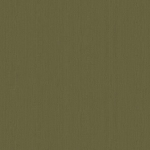 Textured Olive Green  - Coordinating Solids Warm Minimalism Collection