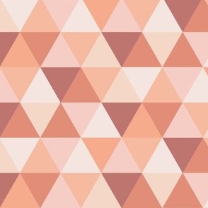 Peach Pink Triangles