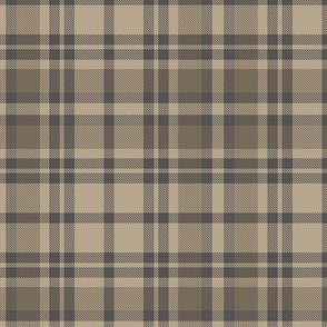 Sand Beige and Muted Brown Tartand Plaid with Thin and Large Stripes