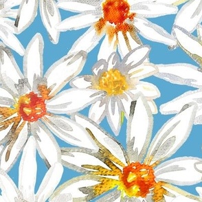 OXEYE DAISY - Watercolour Daisy flower on Light Soft Blue Background