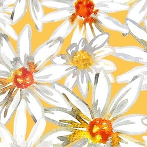 OXEYE DAISY - Watercolour Daisy flower on Soft Yellow Background