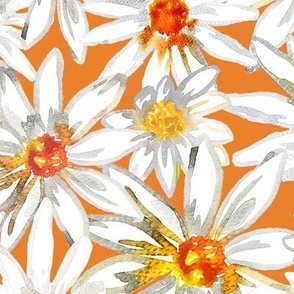 OXEYE DAISY - Watercolour Daisy flower on Orange Background