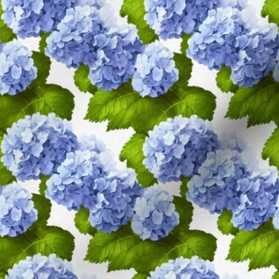 small susie's backyard hydrangeas on white linen no. 2: blue hydrangea, hydrangea wallpaper