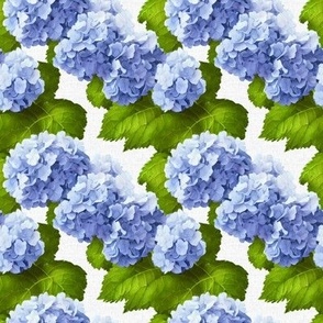small susie's backyard hydrangeas on white linen no. 2: blue hydrangea, hydrangea wallpaper