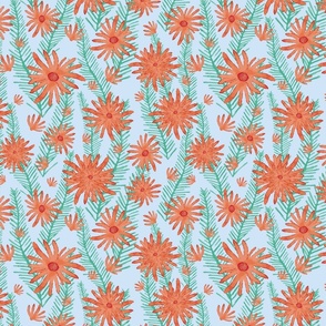 Orange flowers with delicate petals on a light blue background.