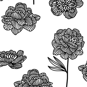 Jumbo large scale black and white floral peony flower line art