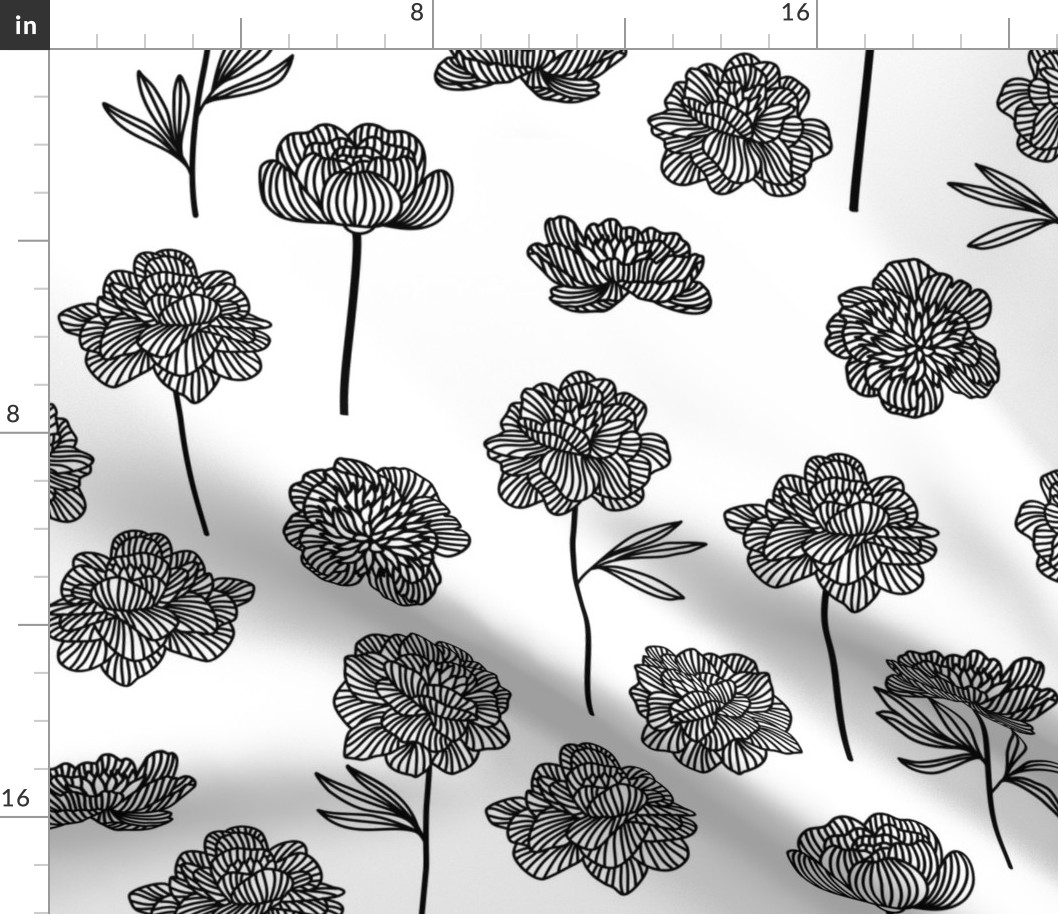 Medium black and white floral peony flower line art