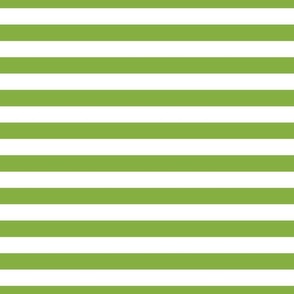 FS Stripes Apple Green and White One Inch 1 In