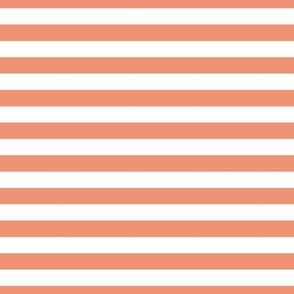 FS Stripes Tangerine Orange and White One Inch 1 In