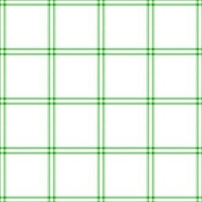 Grid Windowpane Kelly Green on White Check