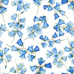 Watercolour bluebells wildflowers, white background. Seamless floral pattern-309.